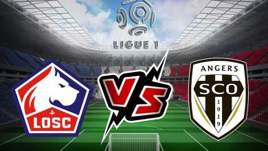 صورة مشاهدة مباراة ليل و أنجيه بث مباشر 13/11/2022 Lille vs Angers SCO