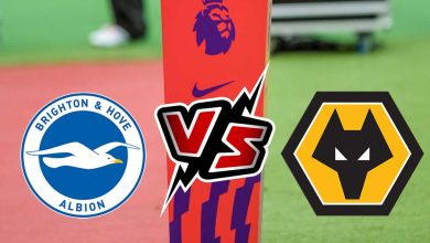 صورة مشاهدة مباراة وولفرهامبتون و برايتون بث مباشر 05/11/2022 Wolverhampton Wanderers vs Brighton